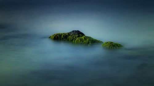 Лохматый остров