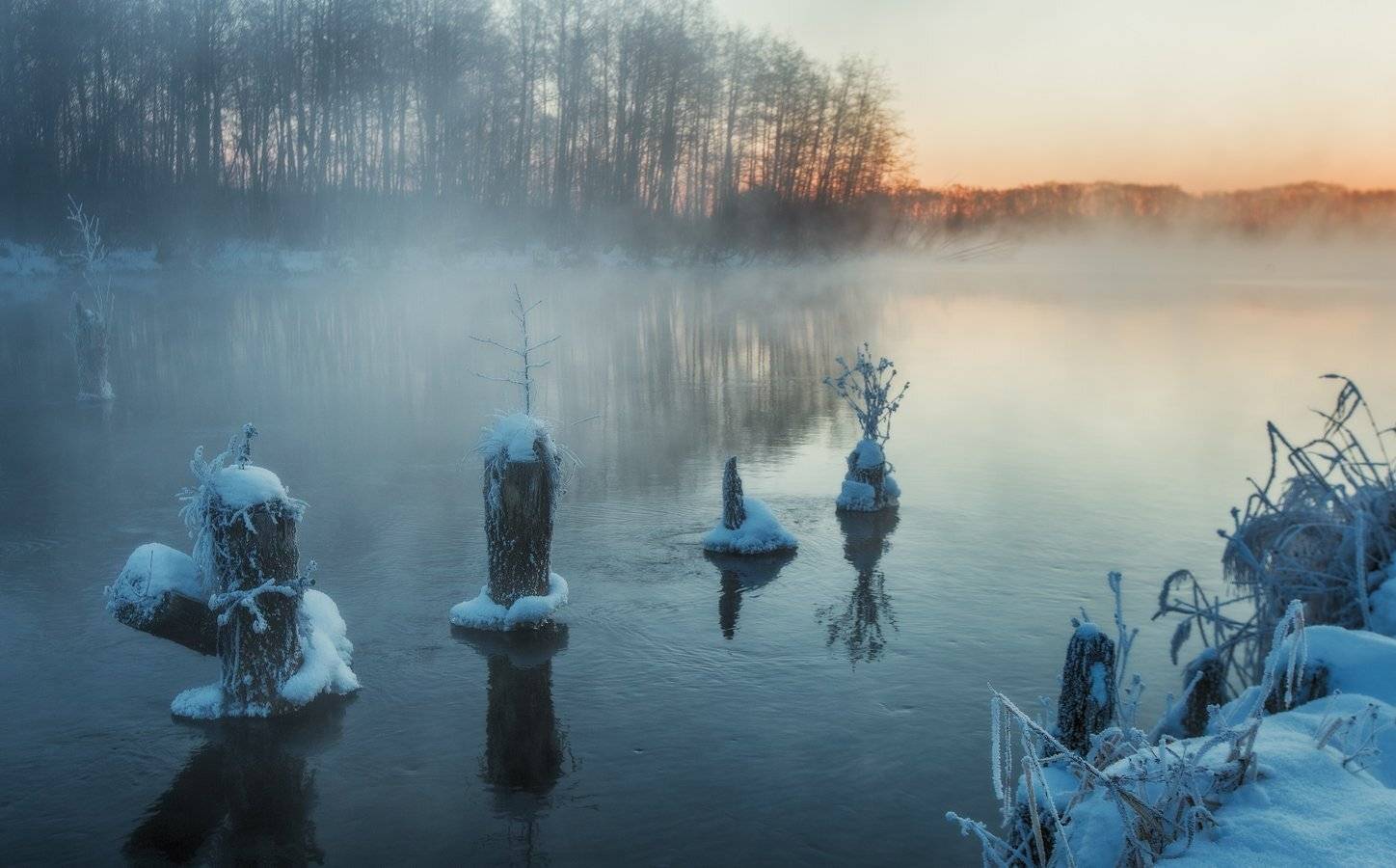 шатура, Владимир Липецких