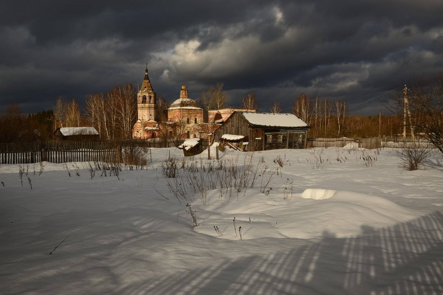 , Максим Евдокимов ( www.wildphotorus.ru )