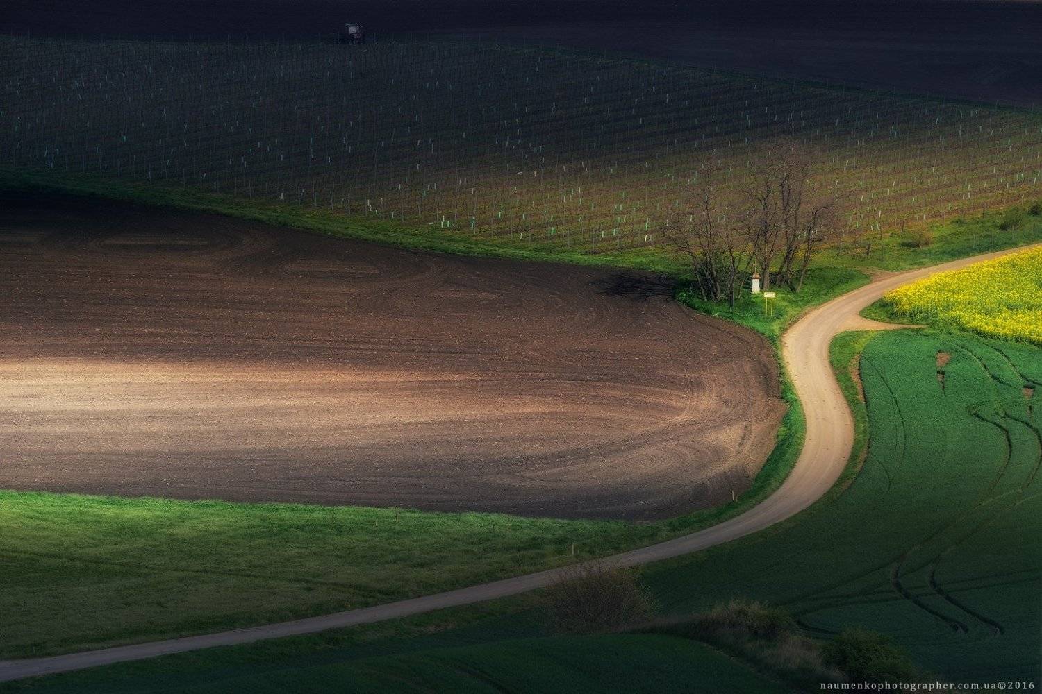 моравия, чехия, пейзаж, республика, весна, зеленый, южная, поле, природа, сельское, хозяйство, пейзажи, сельская, местность, моравский, красивый, фон, луг, страна, поля, ферма, вид, растение, трава, волнистая, пахать, луга, сцена, европа, деревья, свет, д, Александр Науменко