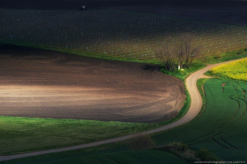 моравия, чехия, пейзаж, республика, весна, зеленый, южная, поле, природа, сельское, хозяйство, пейзажи, сельская, местность, моравский, красивый, фон, луг, страна, поля, ферма, вид, растение, трава, волнистая, пахать, луга, сцена, европа, деревья, свет, д Чехия. Южная Моравия. Ландшафт заповедника Hovoranske louky фото превью