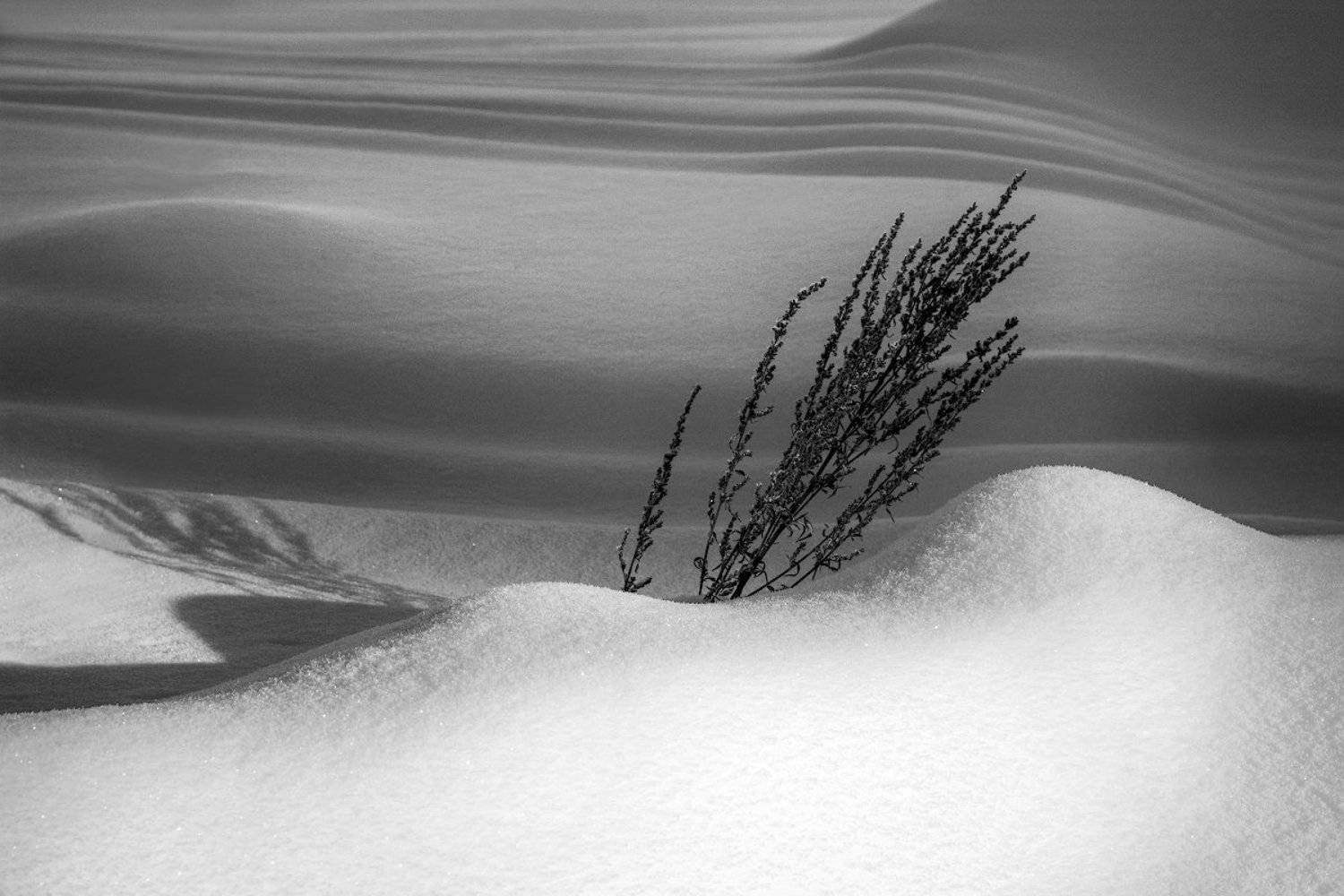 , Марина Никифорова