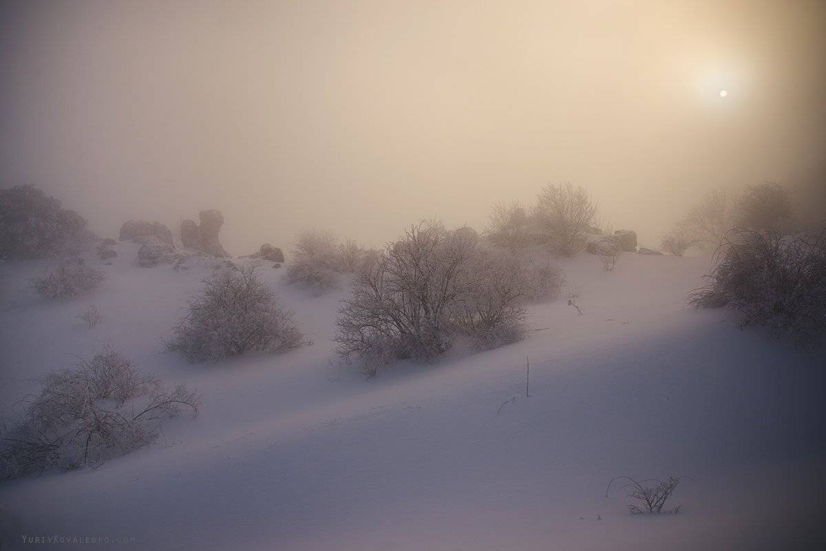 крым, Юрий Коваленко