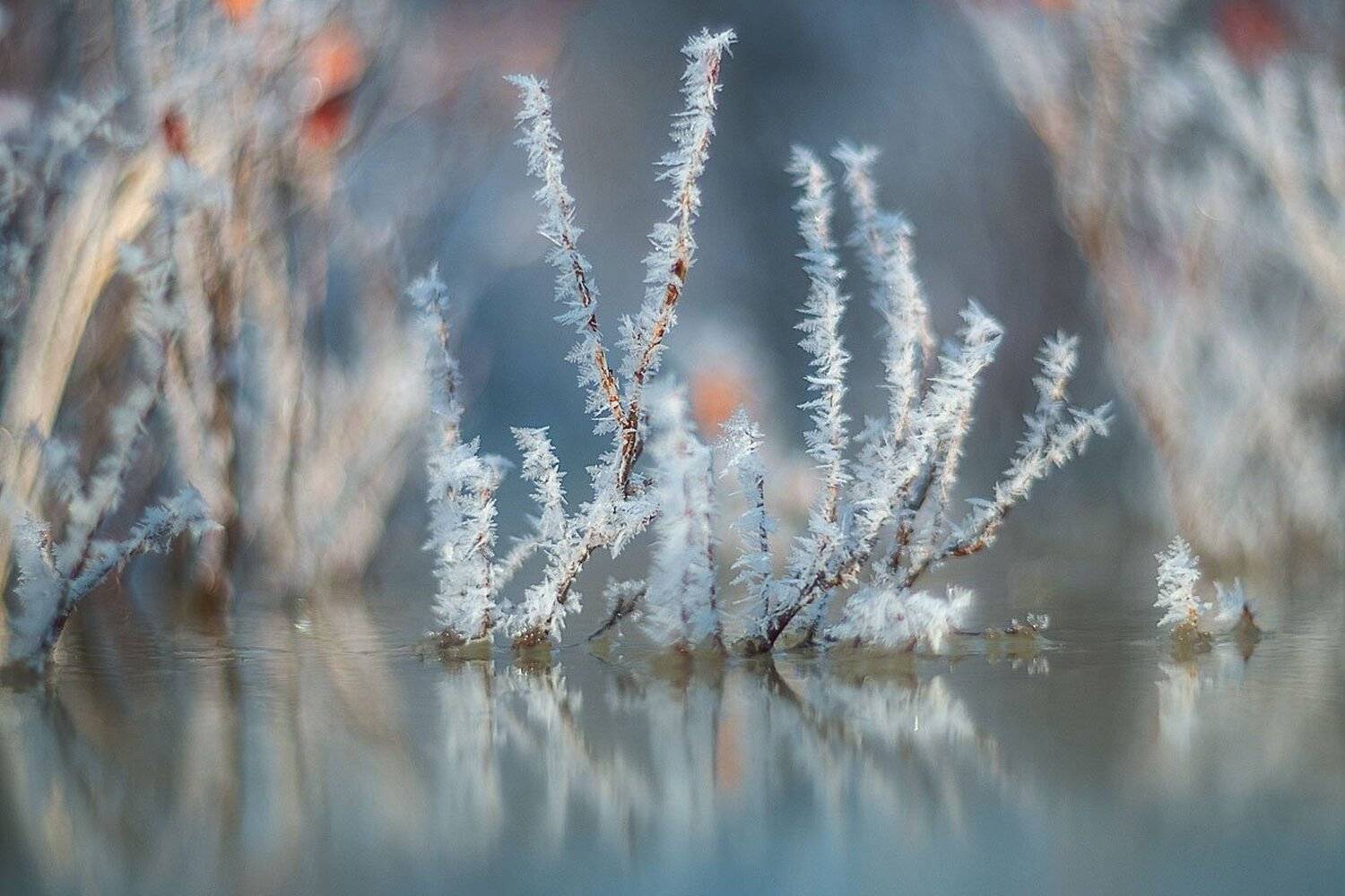 , Сергей Брагин