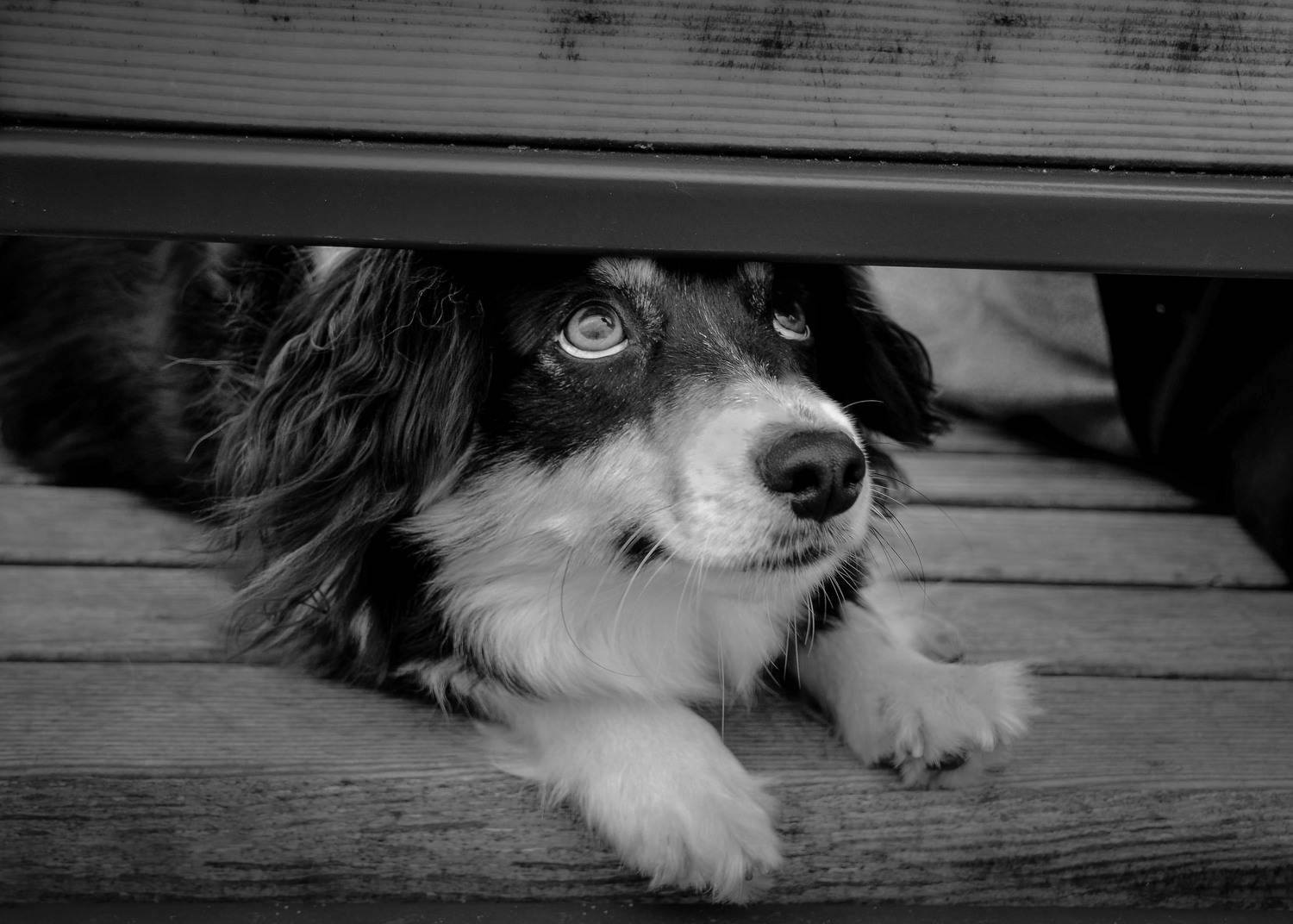 , Андрей Степанов