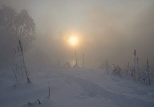 Студёное утро