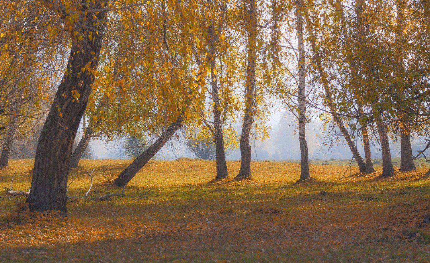 , Николай Морский