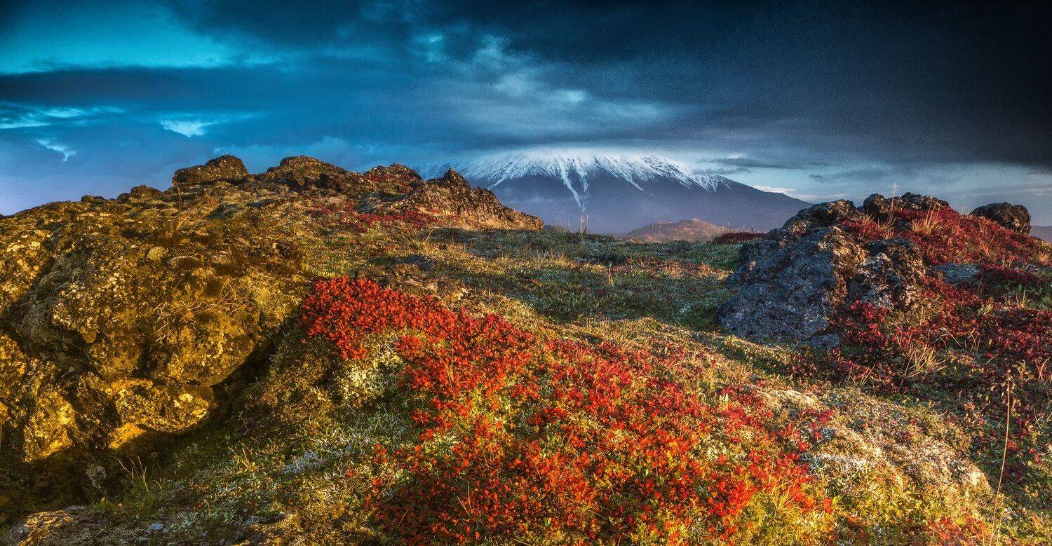 Камчатка, Власов Егор