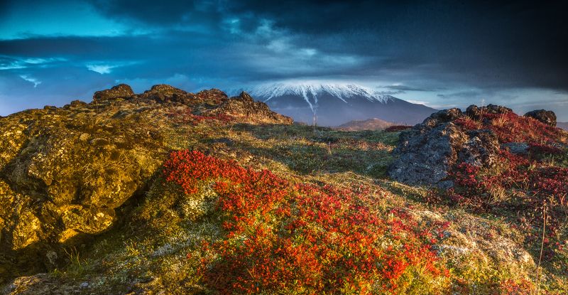 Камчатка Тундра в огне фото превью