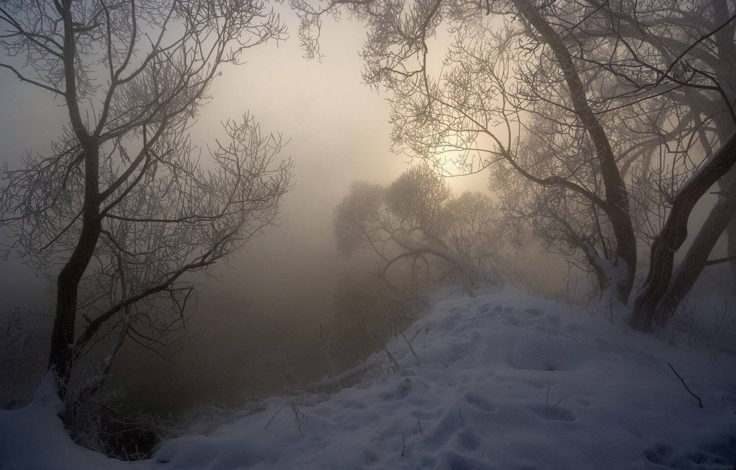 , Руслан Сигушин