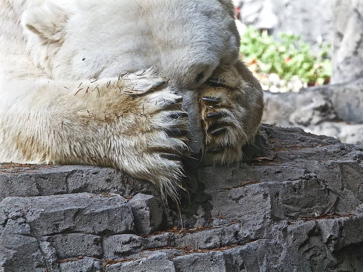 , Мазурин Евгений