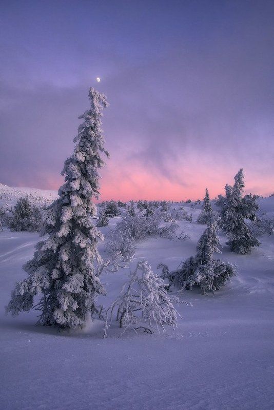 кольский полуостров, мурманская,кандалакша Лунный лапландский вечер фото превью