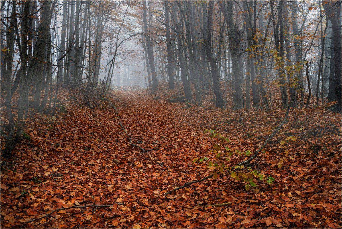 Кутыгин, Осетия, Алания, Цей, осень, Кутыгин Эдуард