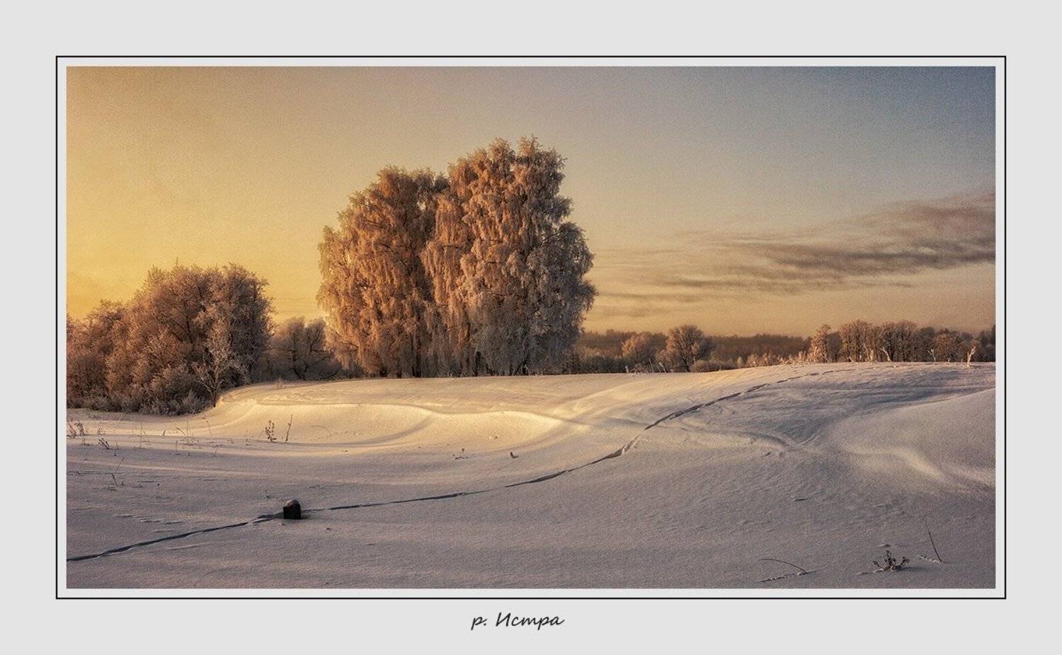 , Олег Дунаев