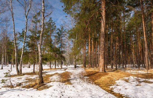 Весна пришла и дышится легко