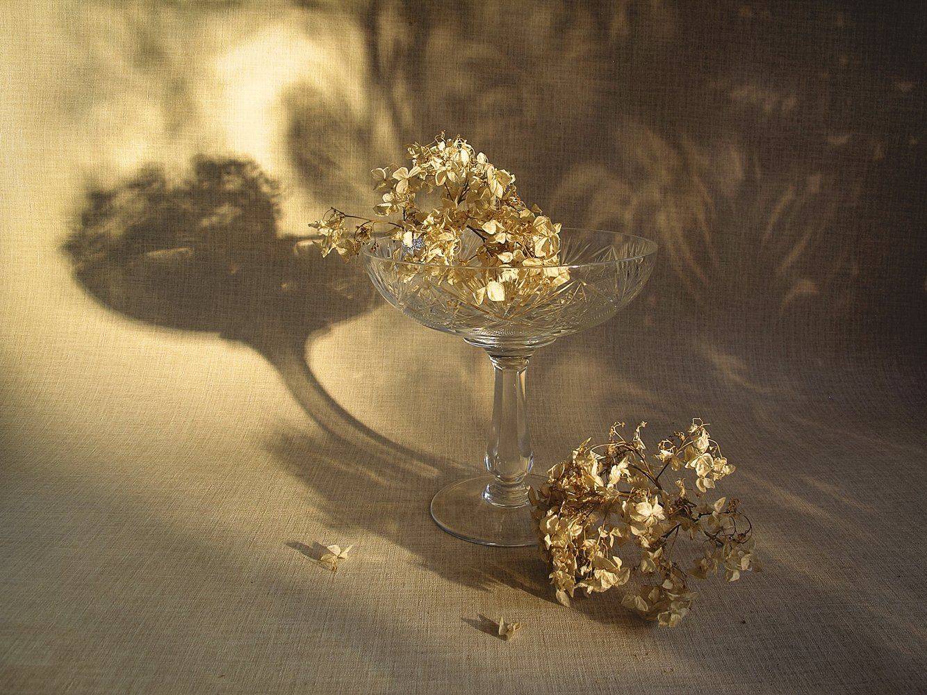 , ТАТЬЯНА ЗАХАРОВА