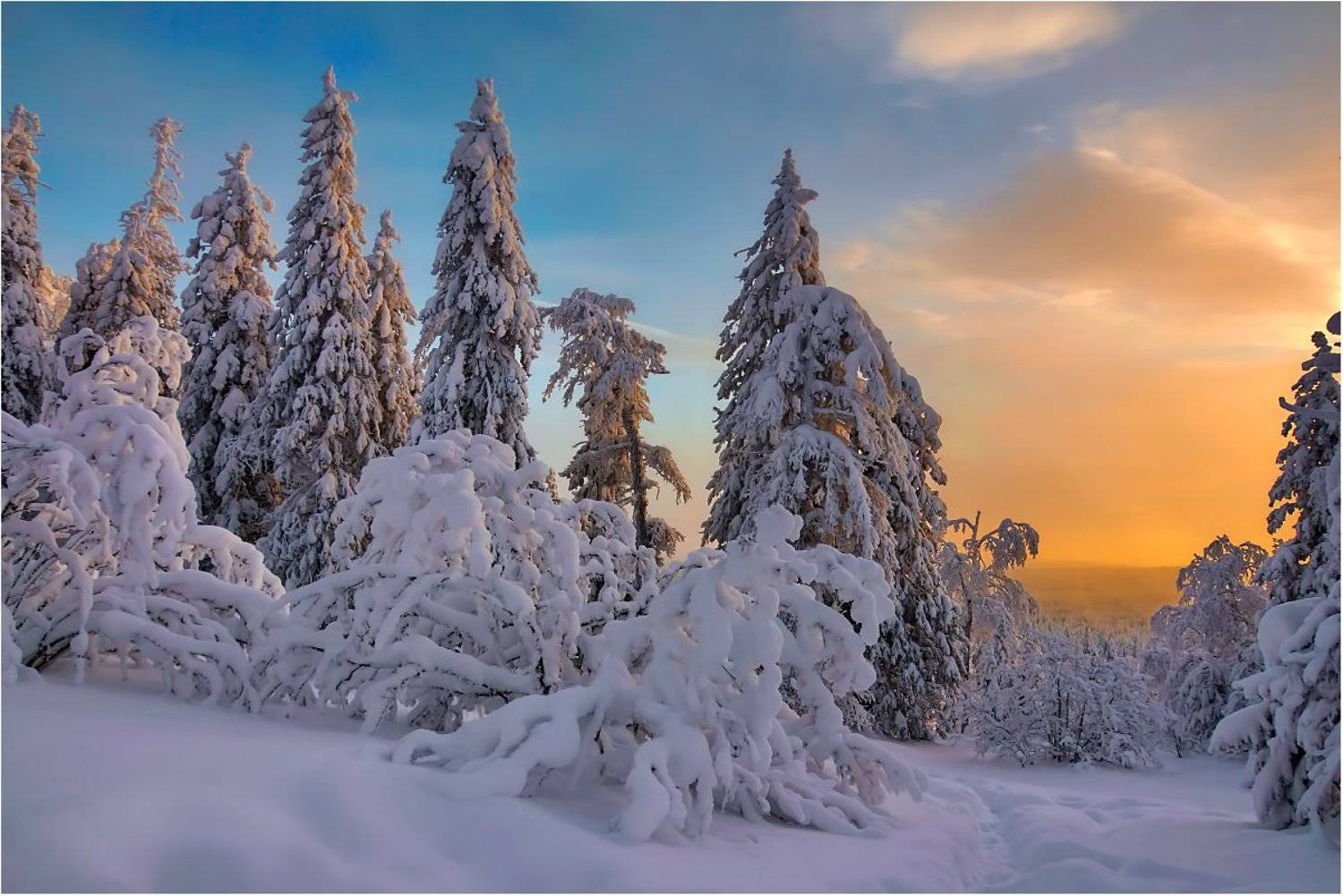 закат,снег,деревья., Кондратьев Алексей