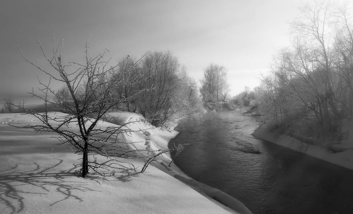 , Сергей (Bekr)