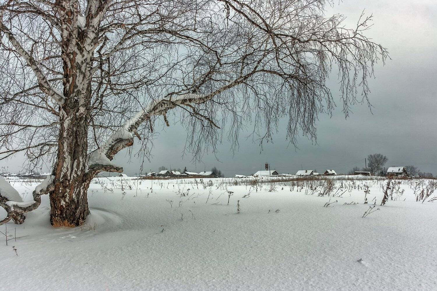 , Николай Андреев