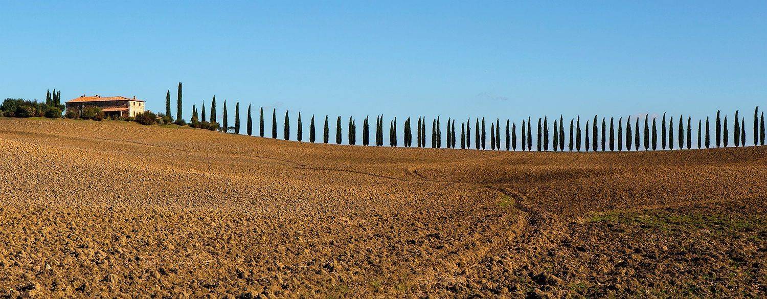 , Игорь Дубровский