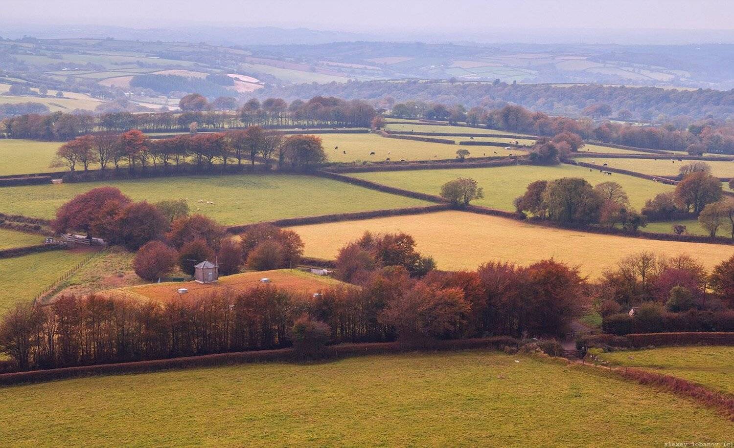 , Алексей Лобанов