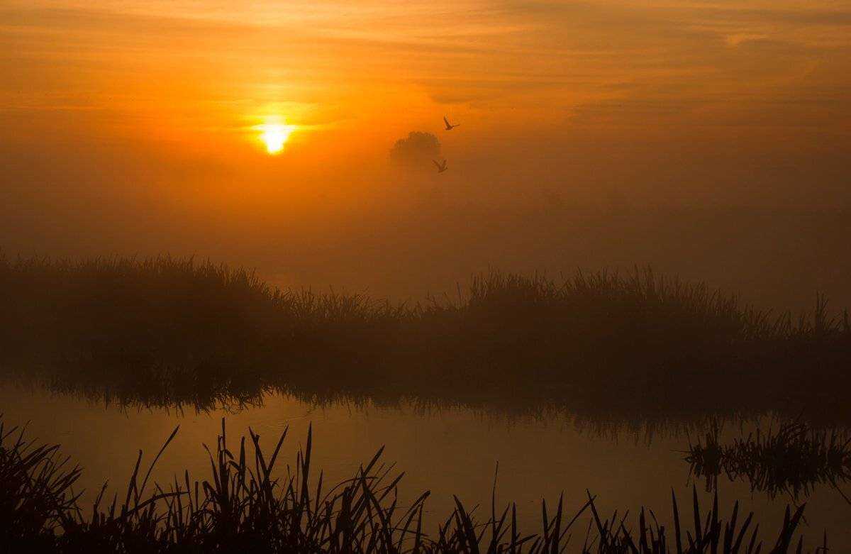 , Pawel Plucinski