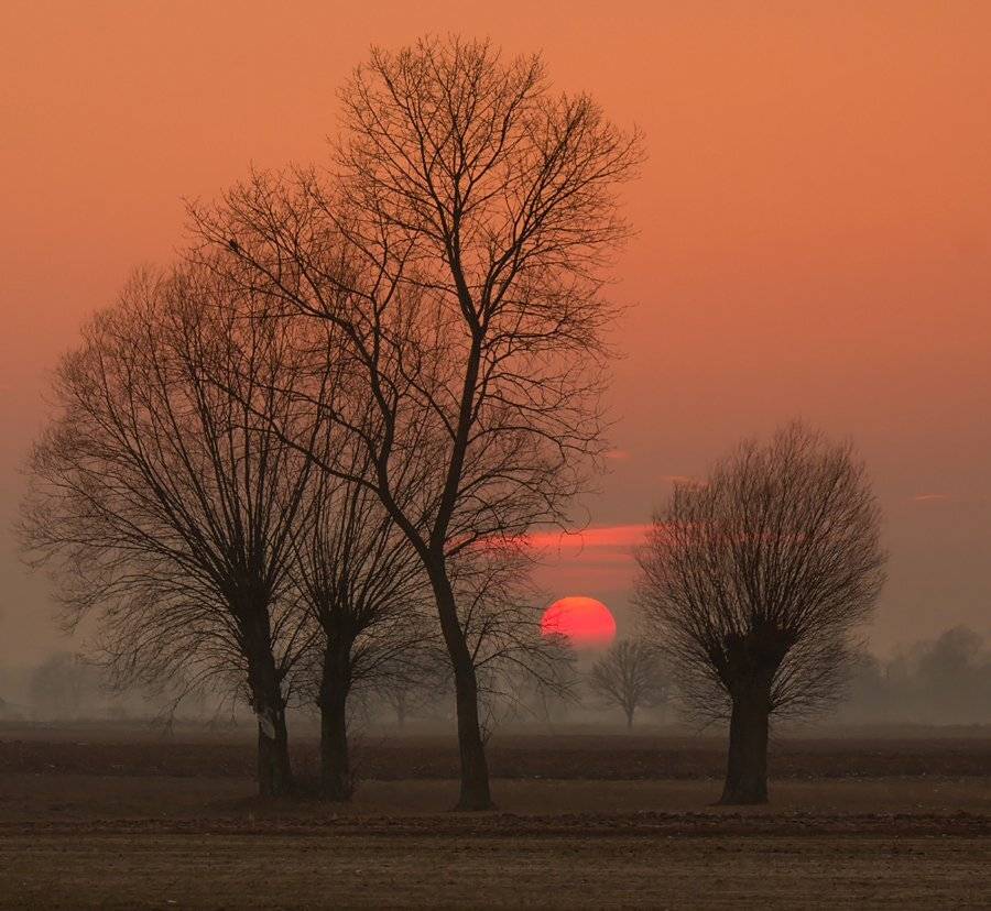 , Pawel Plucinski