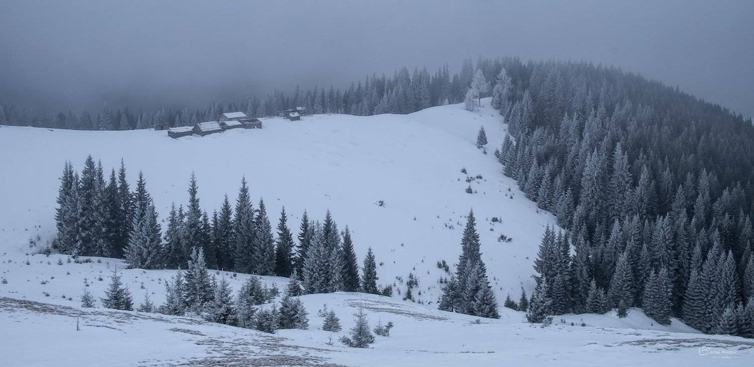 , Леонид Морозов