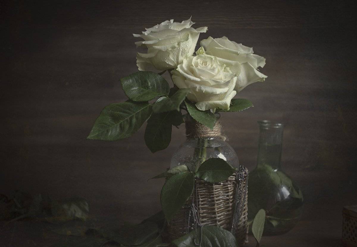 роза, розы, белые, ваза, стеклянная, листья, букет, корзинка, плетеная, Игорь Токарев