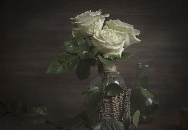роза, розы, белые, ваза, стеклянная, листья, букет, корзинка, плетеная Белые розы фото превью