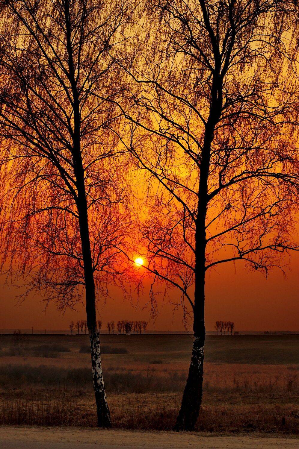 пейзаж, беларусь, природа,весна, Sixten ( Сергей )