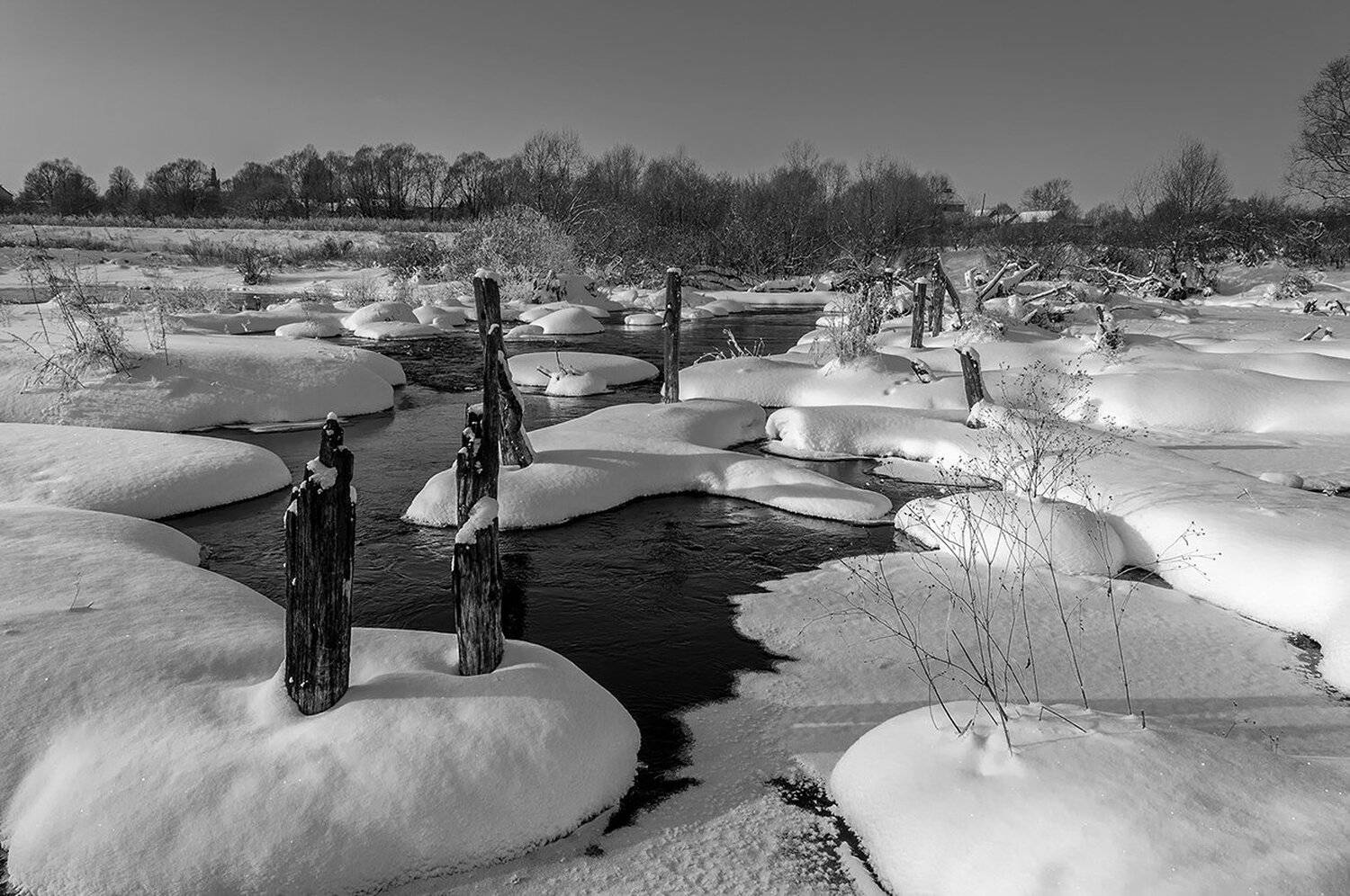 , Анатолий Зверев