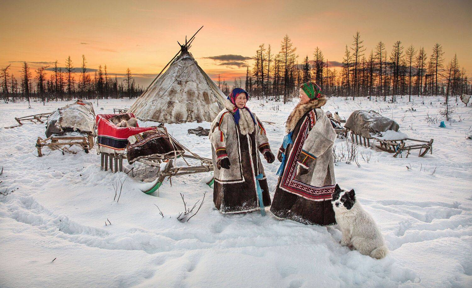 Ямал, Приуральская тундра, Стойбище Лаптандер, Ульяна ,  Чум, ненец, Алексей Сулоев