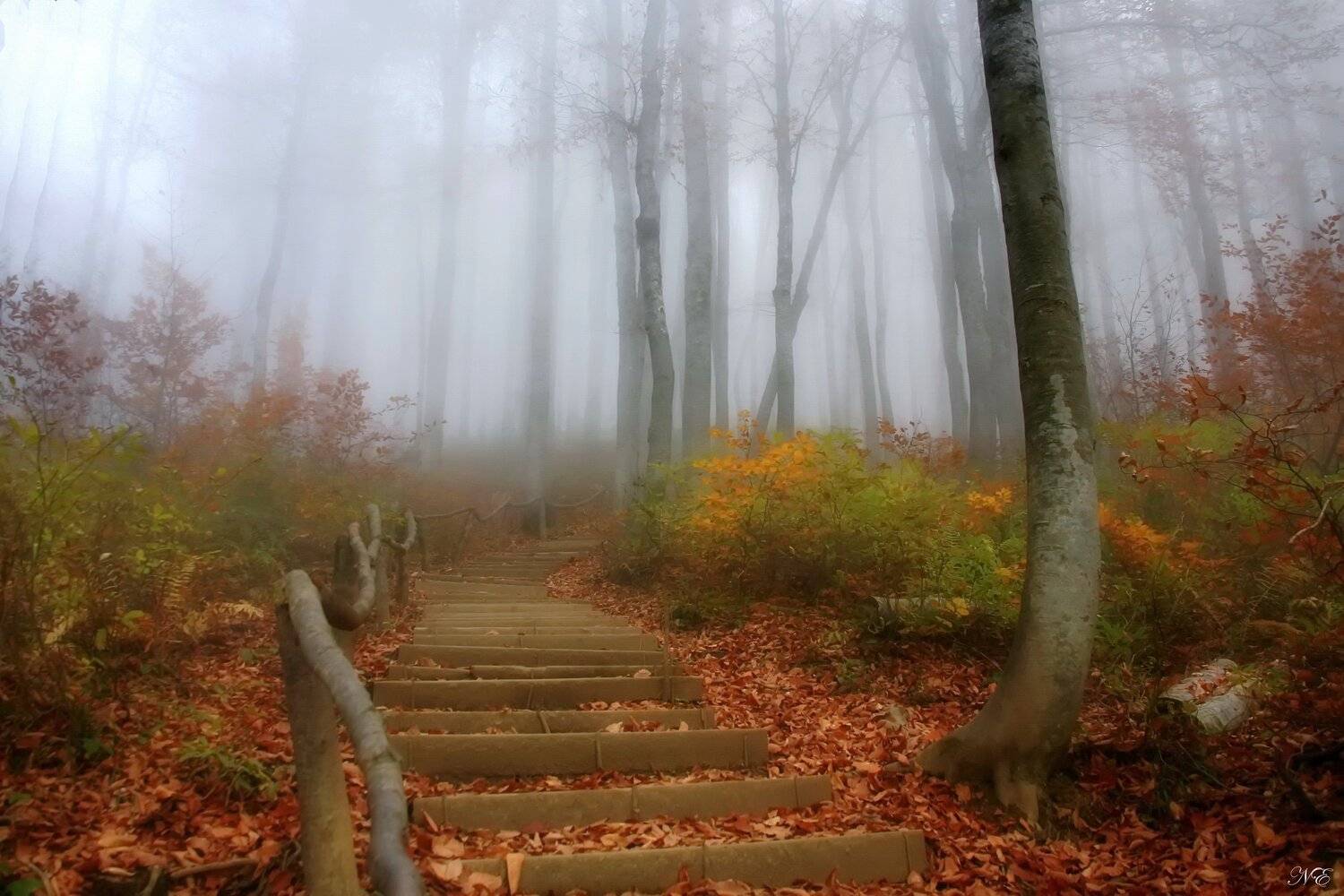 горы осень тропа туман, Евгений Никишин