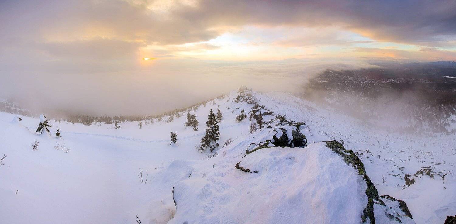 , Игорь Криницын