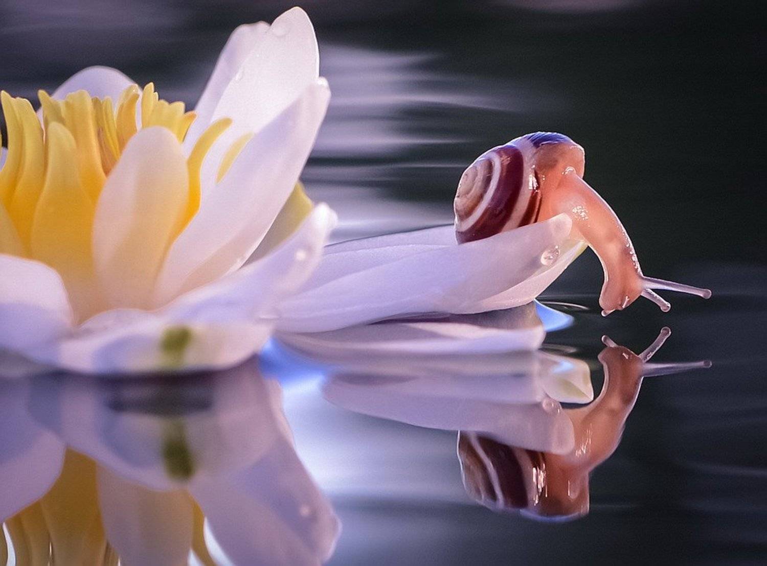 , Вячеслав Мищенко