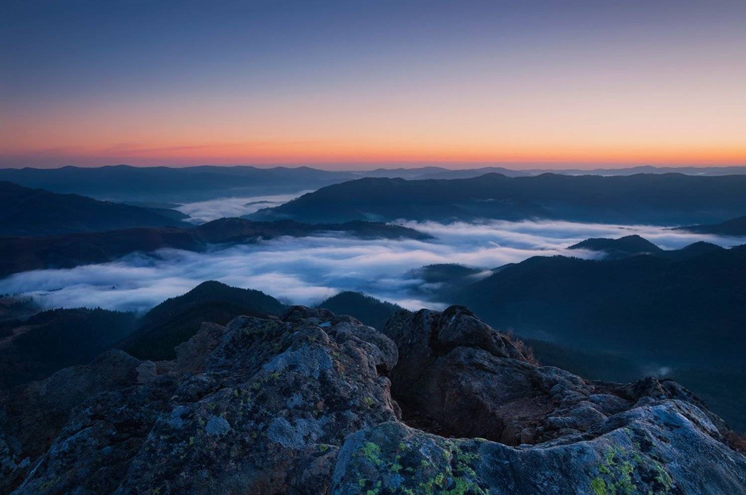 , Денис Кривой