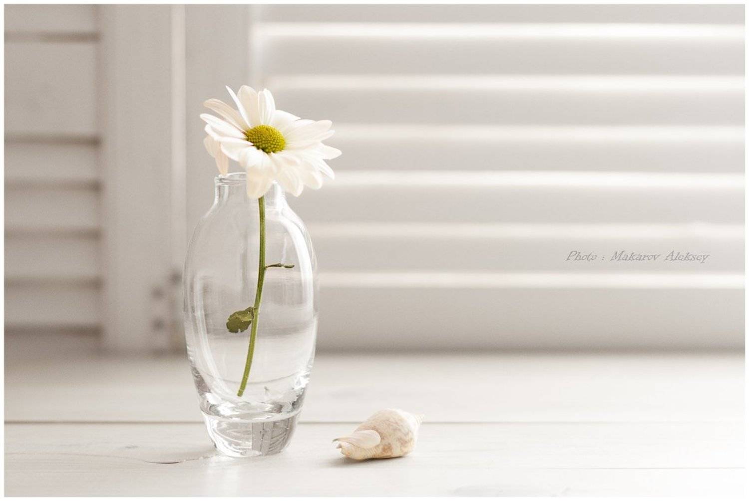 , Алексей Макаров