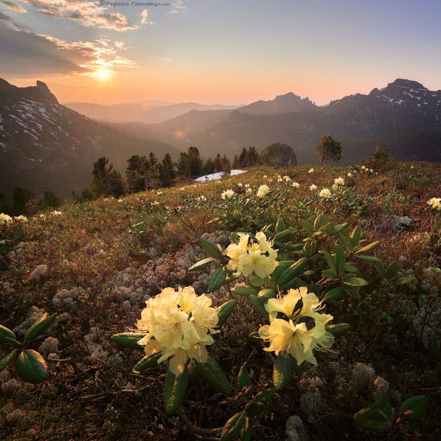 красноярский край, западные саяны, национальный парк  ергаки, закат, горы, рододендроны., Рафаэль Гатиятуллин
