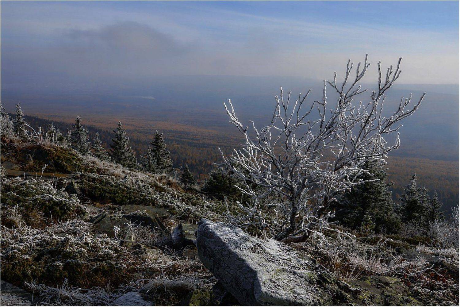 , Кондратьев Алексей