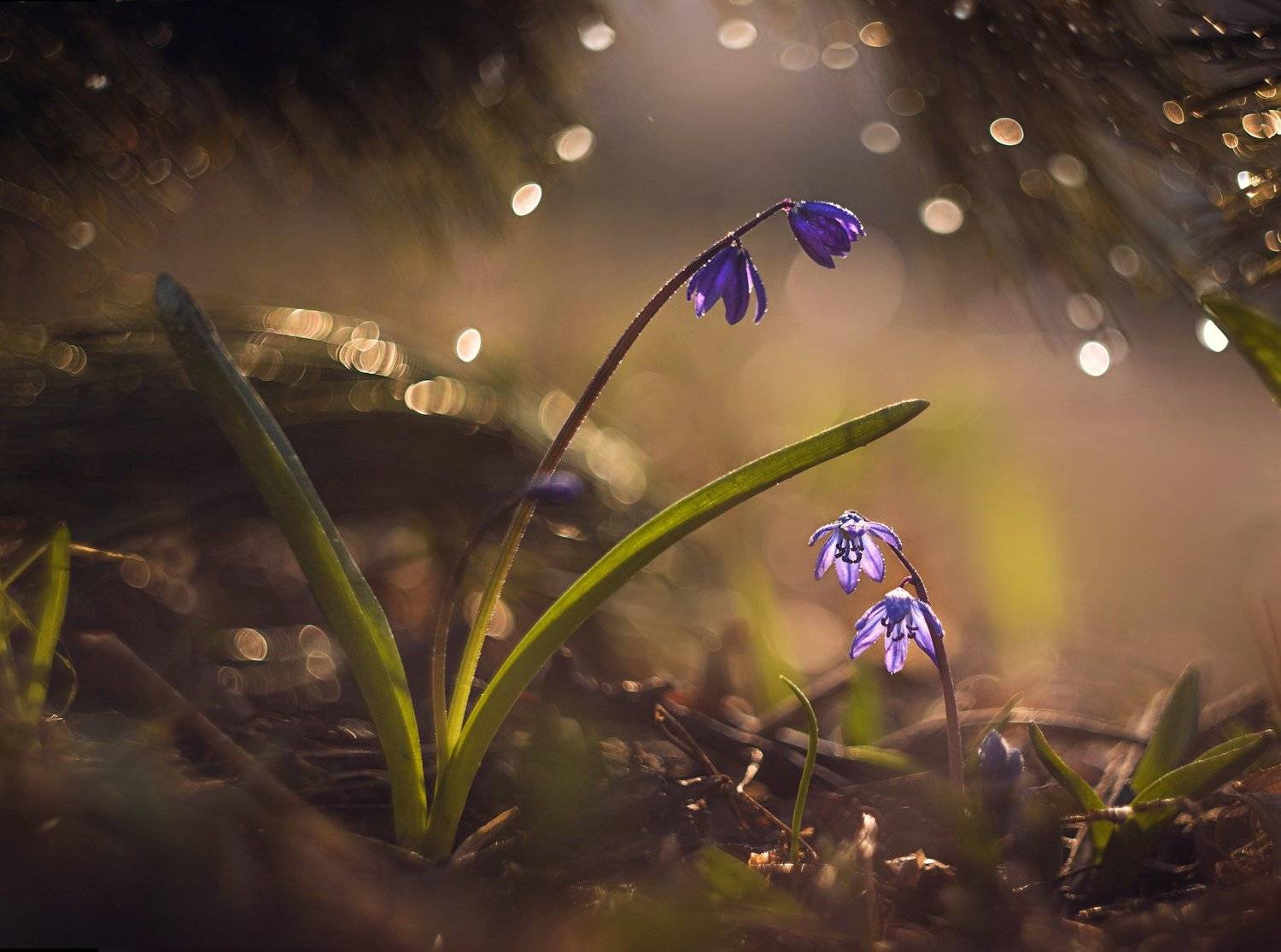 , Екатерина Науменко