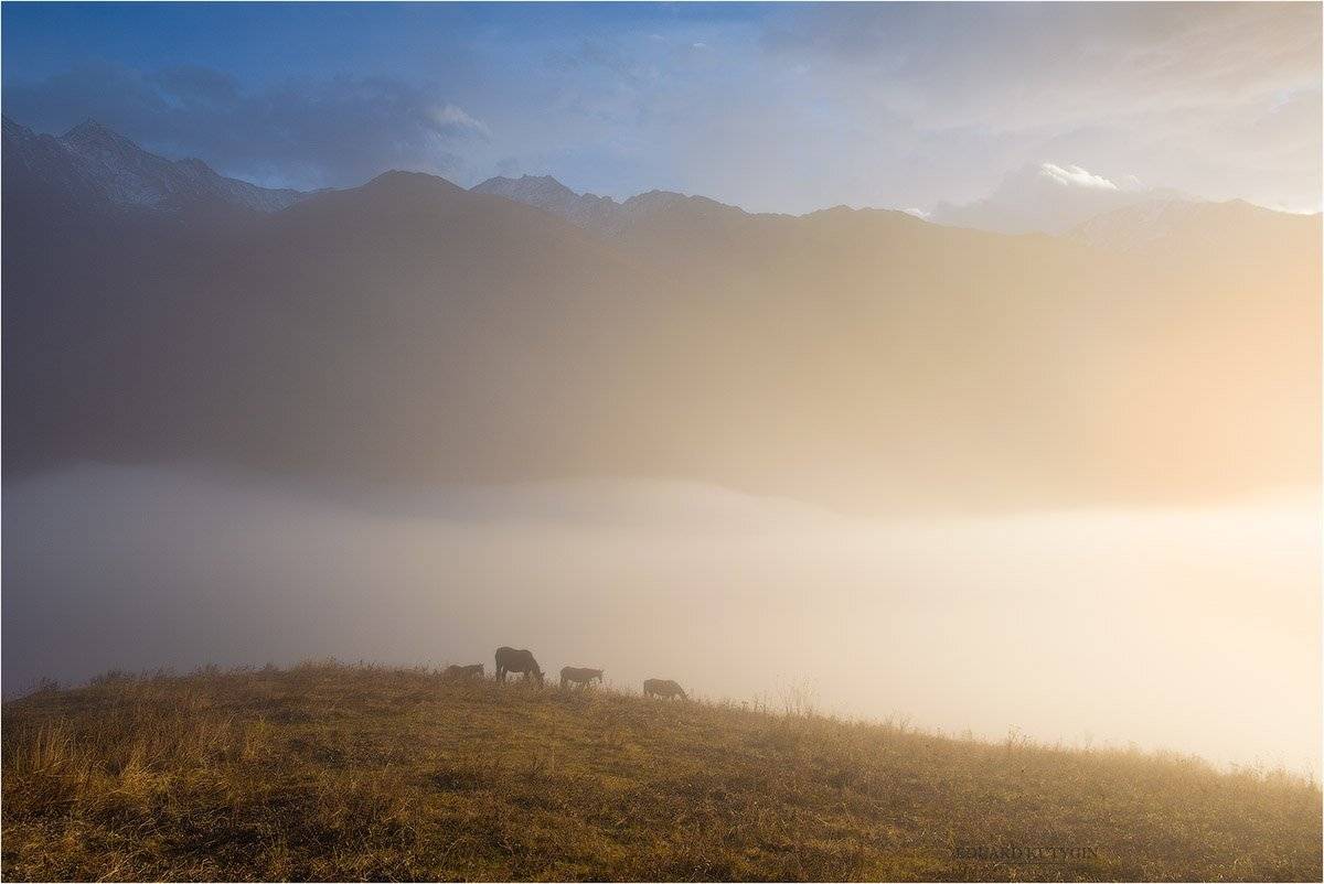 Кавказ, Кутыгин, Суаргомский, Санибанский, перевал, Кармадон, Кутыгин Эдуард