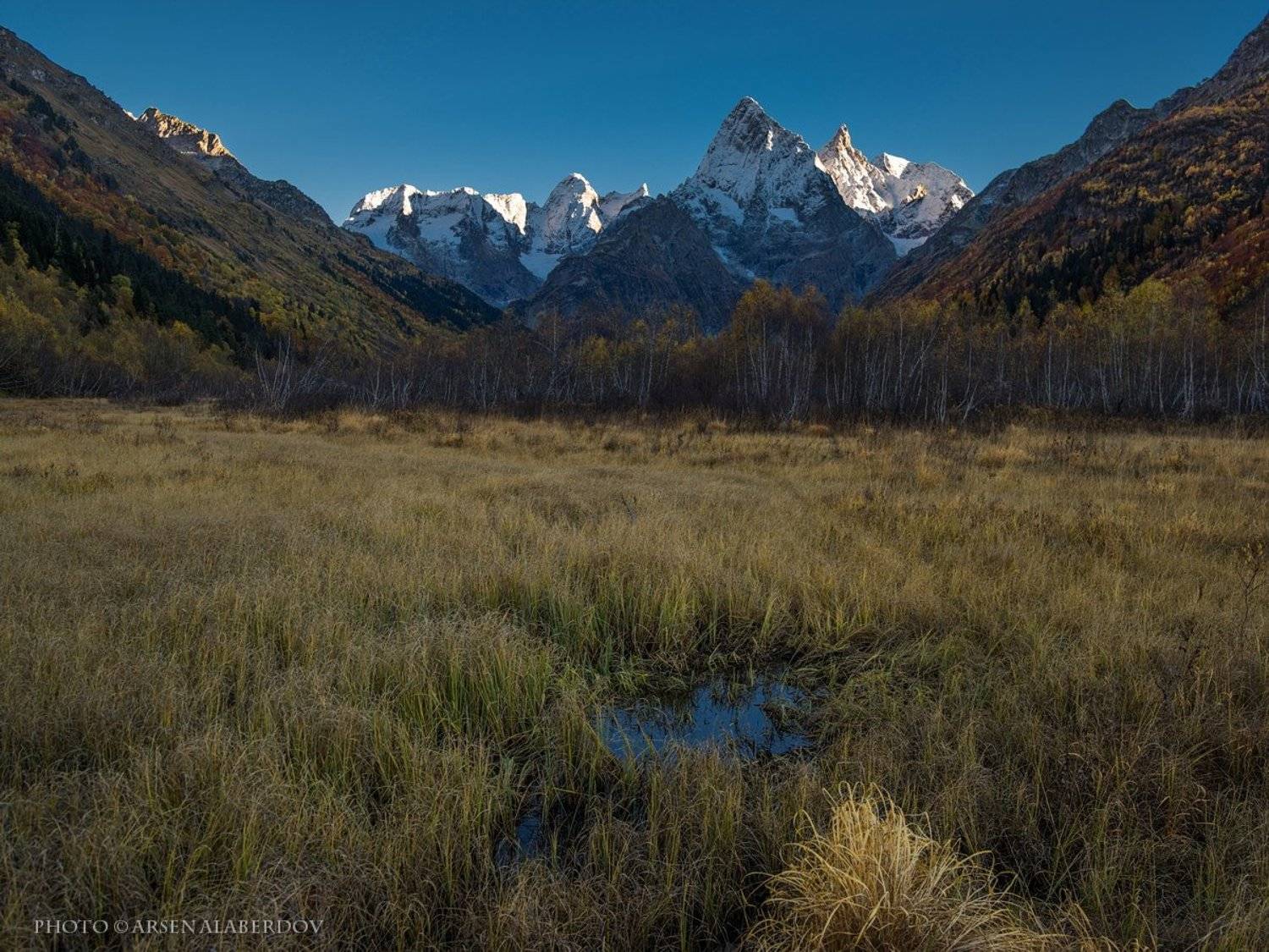 , Арсен Алабердов