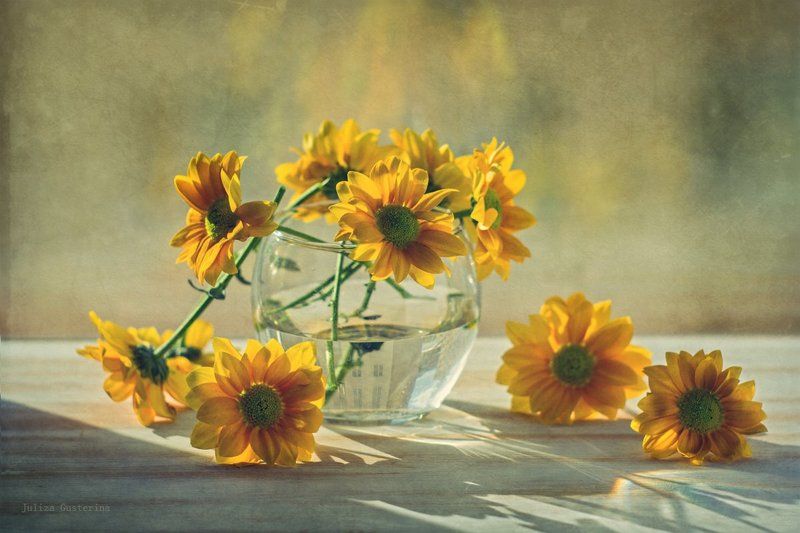 встречая весну фото превью