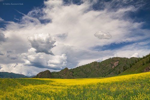 Всё ещё впереди...