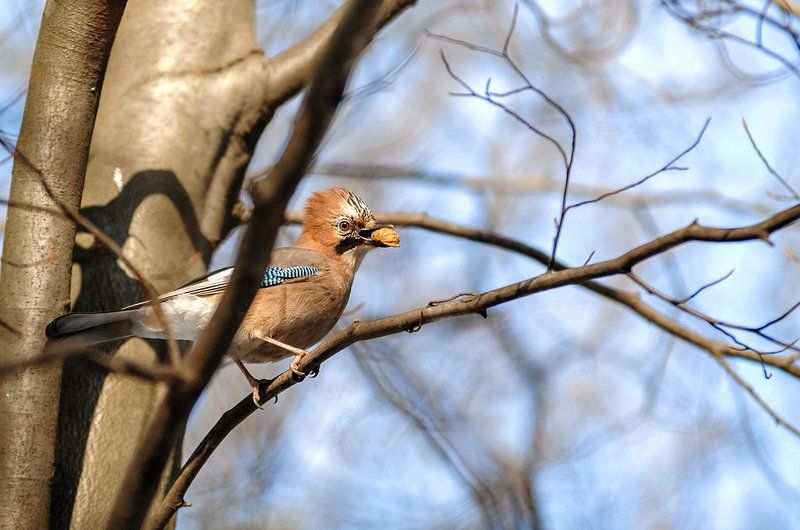 Не отнимешь?! фото превью