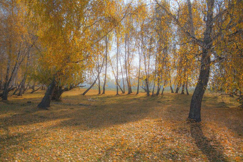 Осень 2016 (2) фото превью