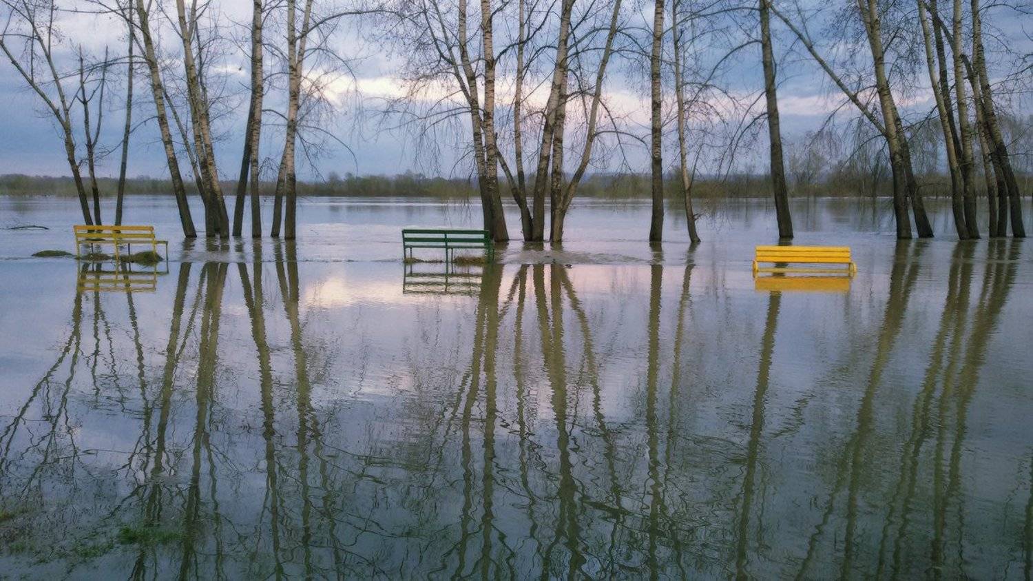 сибирь, кондома, новокузнецк, половодье, весна, Галина Хвостенко