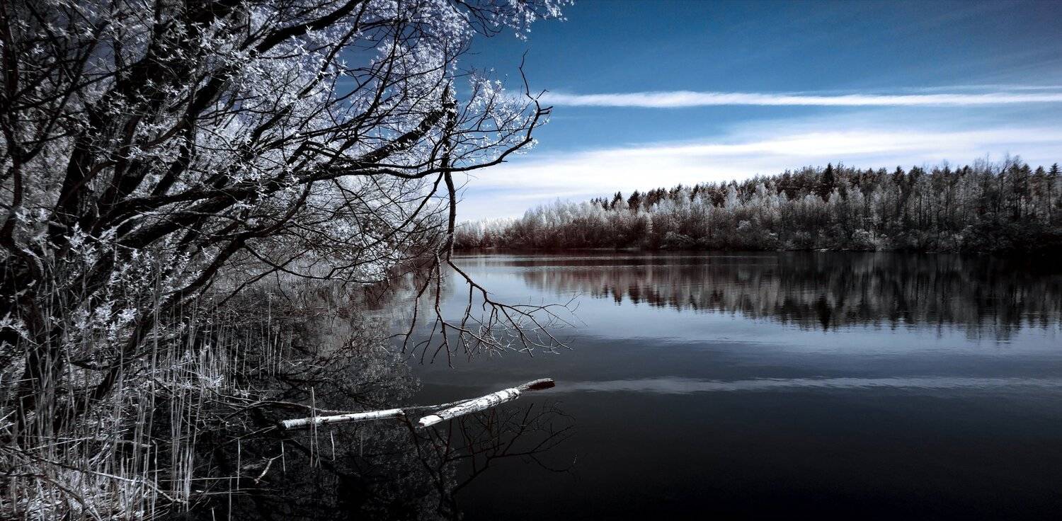 infrared,ик-фото,инфракрасное фото,инфракрасная фотография,пейзаж,природа,беларусь,весна, Sixten ( Сергей )