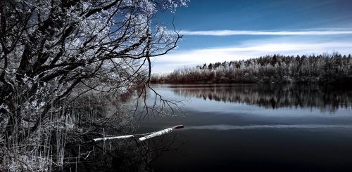 Про сломанную ветку. Инфракрасная фотография.